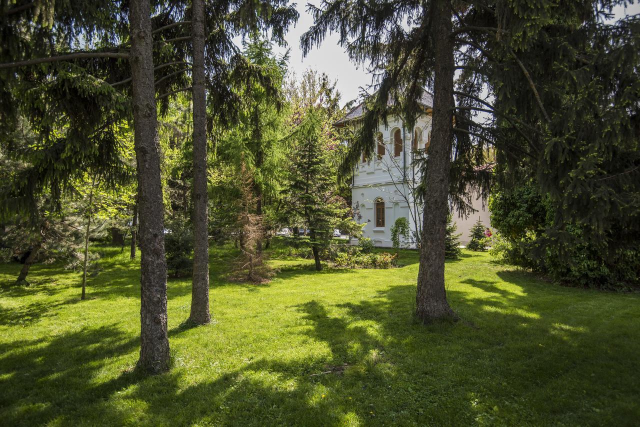 Hotel Belvedere Braila Ngoại thất bức ảnh